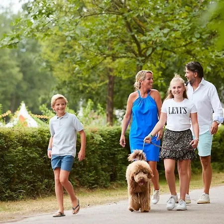 Holiday home Forest Cube 2 Persons #628 2 Persoons Maasbree